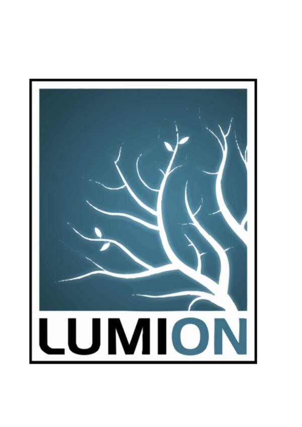 Lumion Pro Edu – 1 Año (1PC)